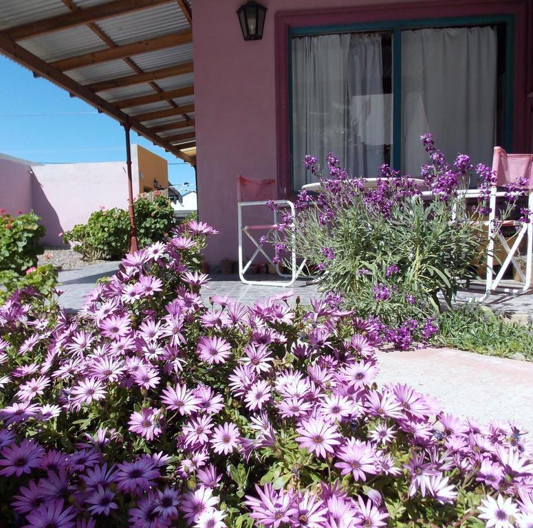 Posada Caracoles Puerto Pirámides Extérieur photo