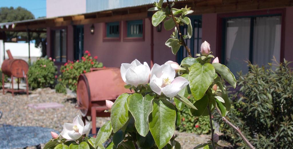 Posada Caracoles Puerto Pirámides Chambre photo