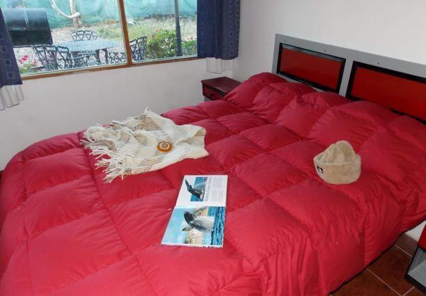 Posada Caracoles Puerto Pirámides Chambre photo